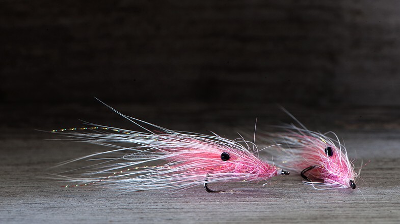 Midgar CDX Shrimp, Pink Lady