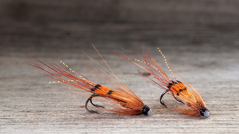 Midgar Copper Shrimp, w/o Cone